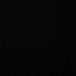 Meet your Posher, Bryce